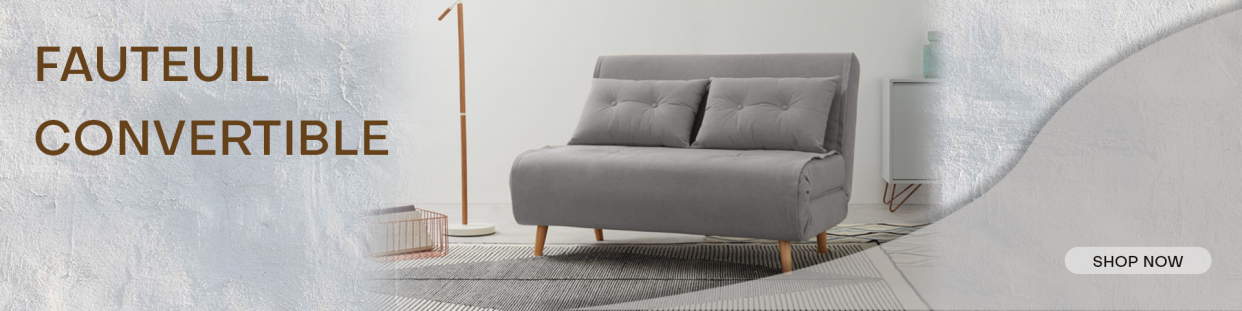 Meta title-Fauteuil Convertible