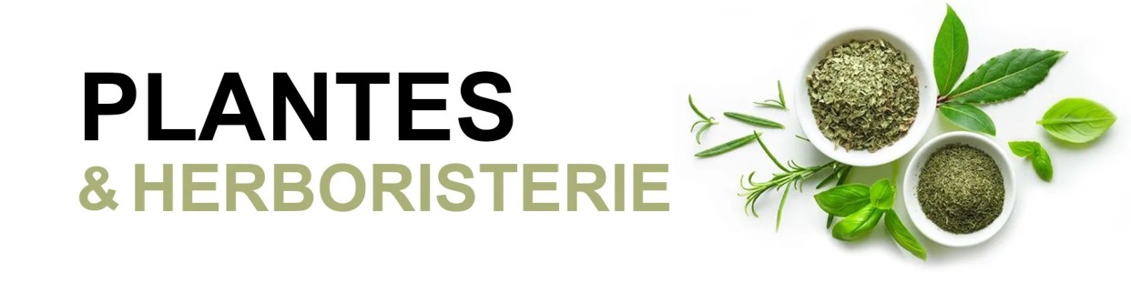Herboristerie & Plantes - MadeInMorokko